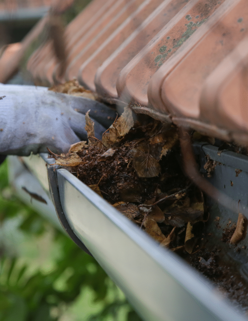 Technician removing leaves and debris from residential rain gutter during a professional gutter cleaning service